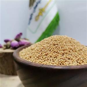 دانه خردل اعلا خالص 100گرمی (عطاری و محصولات ارگانیک طراوت)