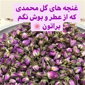 غنچه گل محمدی(50 گرم)