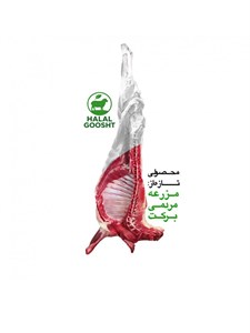 گوشت سردست گوسفند داخلی پویا پروتئین - 1 کیلوگرم