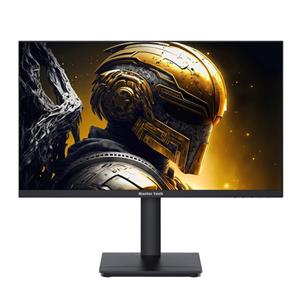 مانیتور گیمینگ 24 اینچ مستر تک مدل PA244iFH 