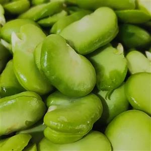 باقلا سبز خشک بارجیل- 1000 گرم ( پاکت زیپ دار)
