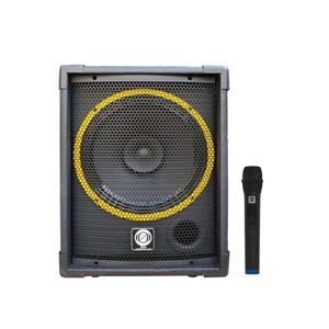 اکو همراه 12 اینچ زیکو مدل 12100PBUR جعبه چوبی بیسیم با میکروفن UHF پلاستیکی(گارانتی 3 ساله پیشفا)(پس کرایه)