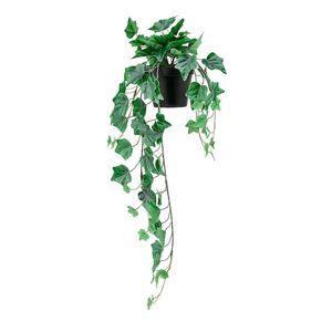 گیاه مصنوعی پیچک ایکیا مدل 80600852-IKEA FEJKA