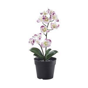 گیاه مصنوعی ارکیده ایکیا مدل 50593216-IKEA FEJKA