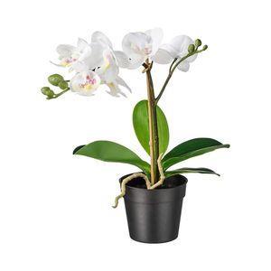 گیاه مصنوعی ارکیده ایکیا مدل IKEA FEJKA