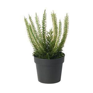 گیاه مصنوعی هدر ایکیا مدل IKEA FEJKA
