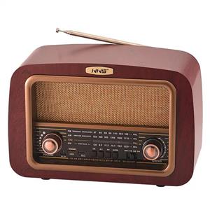 رادیو شارژی مدل NS-6655BT