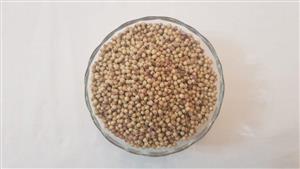 تخم گشنیز (کزبره)