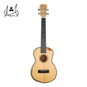 گیتار اوکوله له فندر آرم رست دار