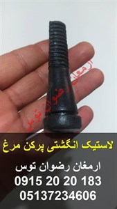 لاستیک انگشتی پرکن مرغ