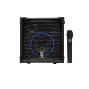 اکو همراه زیکو مدل 8 اینچ بهمراه میکروفن بی سیم UHF پلاستیکی ZICO 18200- PBUR\t