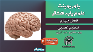 پاورپوینت تنظیم عصبی – فصل 4 علوم پایه هشتم (17 اسلاید)