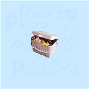 سبد پیک نیک پلاس ابتکار