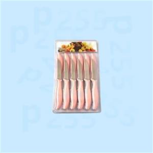 کارد میوه خوری 12 عددی کوک ابتکار