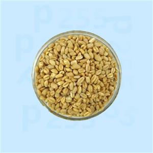 گندم پوست کنده حلیمی درجه دو ۱۰ کیلویی