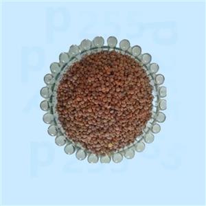 عدس اعلا درجه یک ۱۰ کیلویی