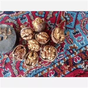 گردو خارجی ۱۰ کیلویی