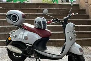 کویر موتور MS1 50-1403