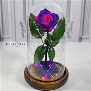 باکس دیو و دلبر با رز جاودان بنفش صورتی