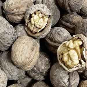 گردو درجه یک عالی و پرچرب 