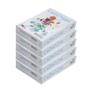 کاغذ A4 سل پرینت کد 01 بسته 5 عددی