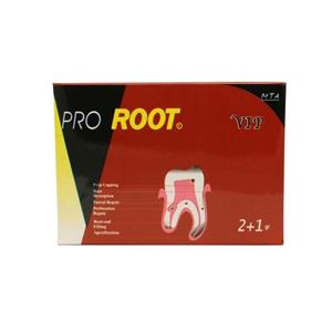 پودر ام تی ای 3 گرمی سینا – Pro Root MTA