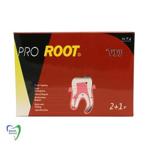 پودر ام تی ای ۳ گرمی سینا – Pro Root MTA