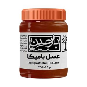 عسل بامیکا عموعطار بارجین - 700 گرم