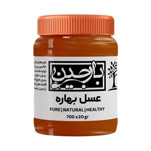 عسل بهاره عموعطار بارجین _ 700 گرم  