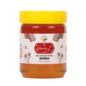 عسل طبیعی ممتازه بهاره عادل - 500 گرم