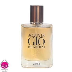 عطر ادکلن آکوا دی جیو ابسولو برندینی 33 میل | Acqua Di Gio Absolu Brandini