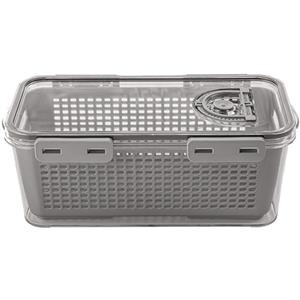 ظرف نگهدارنده لیمون مدل یخچالی کد DH2378