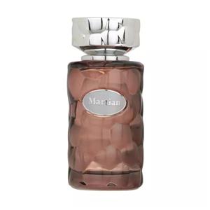 عطر مردانه مدل Martin حجم 100 میلی لیتر ورسای