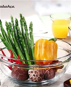 کاسه چف پاشاباغچه کد 53923