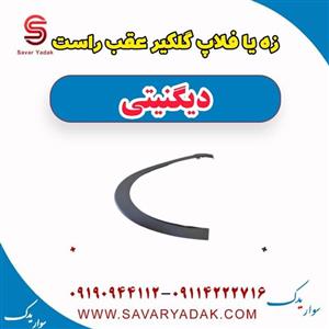 زه یا فلاپ گلگیر عقب راست دیگنیتی