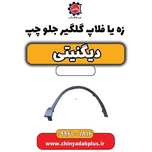 زه یا فلاپ گلگیر جلو چپ دیگنیتی