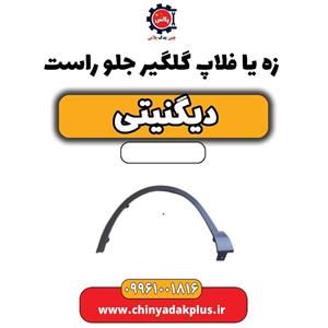 زه یا فلاپ گلگیر جلو راست دیگنیتی