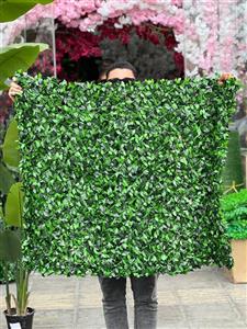 فنس برگ پرتقالی