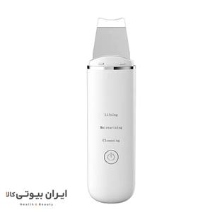 اتو صورت کارینا مدل  C117