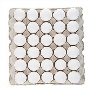 تخم مرغ سیمرغ فله