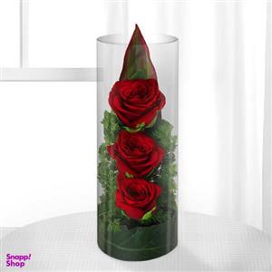 باکس گل طبیعی گل بازار مدل رز‌ بسته 3 عددی