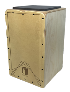 کاخن ایفونیک فیدا