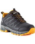 DEWALT Men's Boron Aluminum Toe Work Shoe, Style NO. DXWP10002