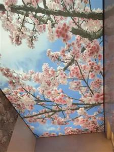 آسمان مجازی گل و شکوفه گل و شکوفه ( سقف کشسان چاپی)