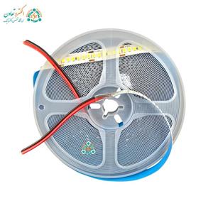 ریسه نواری  تراکم 240 برق مستقیم آفتابی تک لاین بسته 10 متری