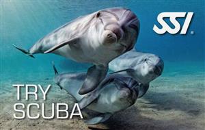 دوره آموزش غواصی Try Scuba SSI مبتدی