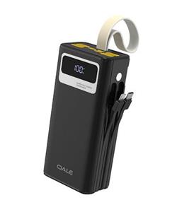 پاوربانک OALE30000