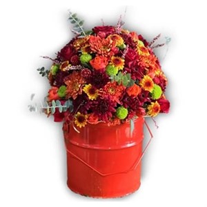 باکس استوانه‌ای بهاره