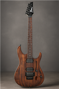 گیتار آیبانز Guitar Ibanez S520AH_ABS