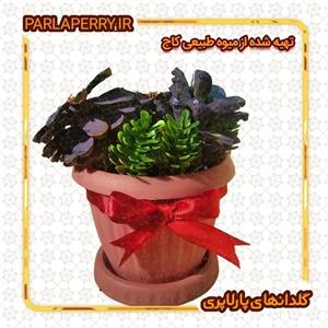 گلدان دکوری میوه کاج